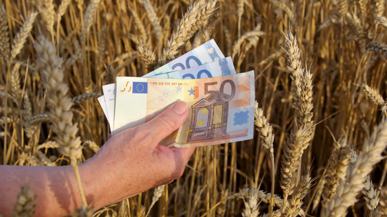 Itt a nagy bejelentés: óriási segítséget kapnak a német gazdák a háború miatt