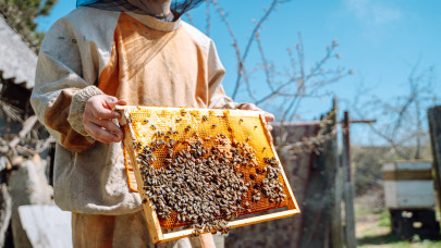 Milliárdos támogatást kapnak a magyar méhészek: mentőövet dobnak a termelőknek