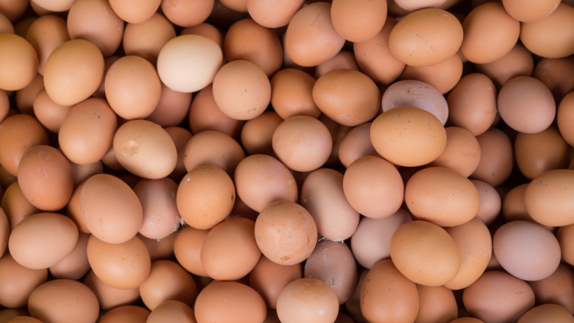 Ömlik az import tojás az EU-ba: ki nem találnád, honnan jön a java
