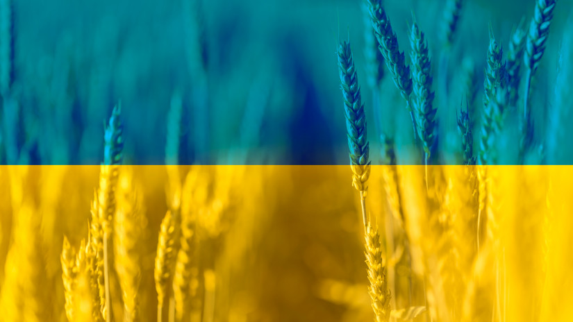 Aggasztó a gabonahelyzet Ukrajnában: bekövetkezett, amitől sokan tartottak