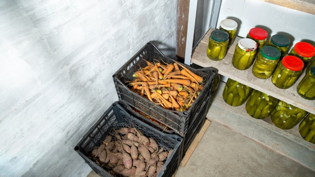 Sokan hibáznak a zöldségek tárolásakor: ezek lehetnek a legnagyobb buktatók