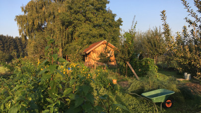 Új őrület hódít a magyarok körében: egyre több ilyen kert van az országban