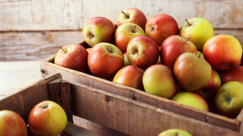 Meglepő, ami a lengyel almával történt: erre sokan nem számítottak