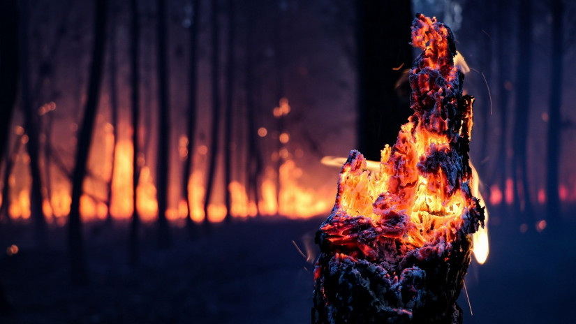 Több ezer hektár terület égett le Magyarországon: durva, mi okozta a tüzet