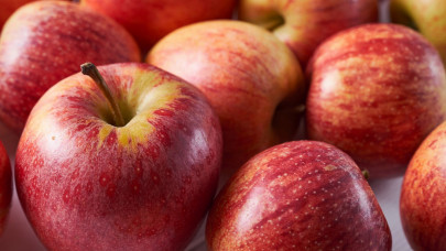 Meglepő hír érkezett a lengyel almáról: ennek nem sok termelő örülhet