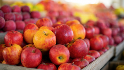 Komoly gondok vannak az európai almával: már a termelők is tehetetlenek