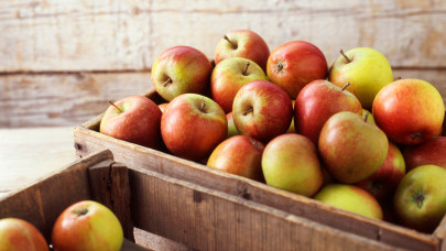 Ez durva: ennyibe kerül most az alma Lengyelországban