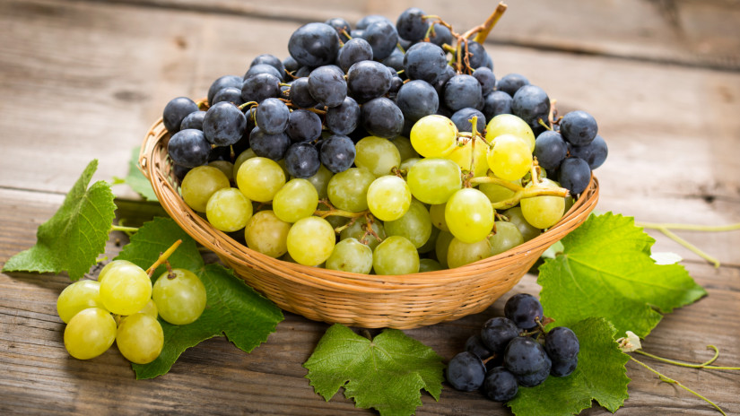 Itt vannak az új szőlőfajták, amik letarolhatják egész Európát