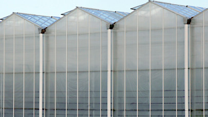 Svájc meglépte: durva, ami az üvegházakkal történik hamarosan az országban