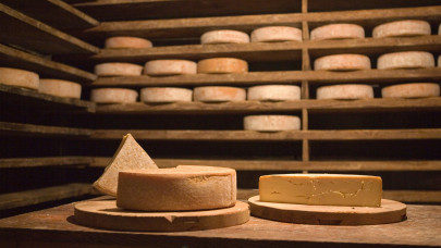 Ilyet még nem láttál: őrület, mi történik a sajtokkal ebben az üzemben