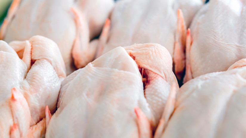 Áramlik az import csirkehús az EU-ba: ki nem találnád, honnan érkezik a java