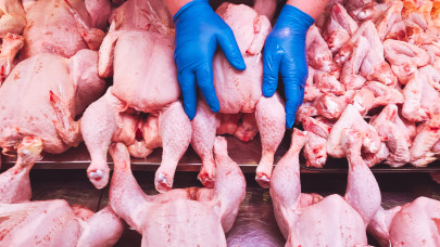 Áramlik ki a baromfihús Ukrajnából: elárasztotta egész Európát az import áru