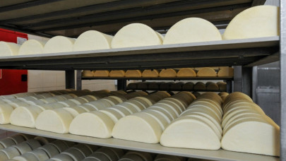 Őrület, ami a boltokban zajlik: ennyiért árulják most a trappista sajtot