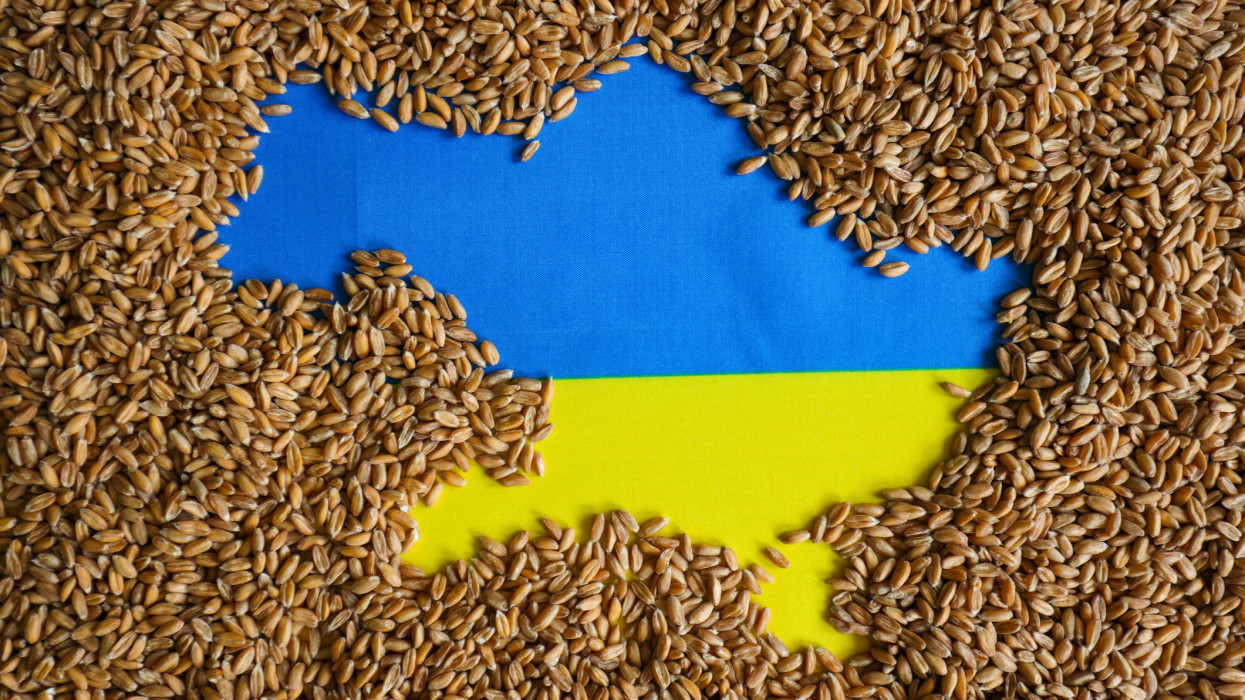 Váratlan lépést tettek a szlovákok: betiltották az ukrán gabona feldolgozását