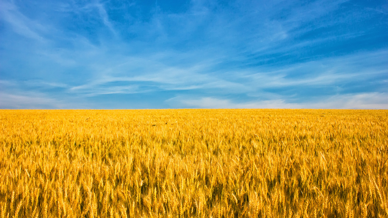 Itt a vége: Lengyelország betiltja az ukrán gabona és más élelmiszerek importját