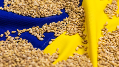 Fontos hírt közöltek az ukrán gabonáról: ez sok országot érinthet
