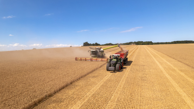Románia egyelőre kivár az ukrán gabona tilalmával
