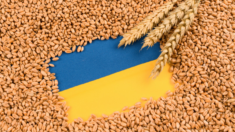 Együttműködést vár az Európai Bizottság az ukrán gabonaügyben