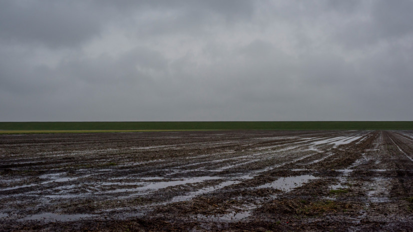 Súlyos bajban az ukrán mezőgazdaság: aggasztó hírek jöttek a földekről