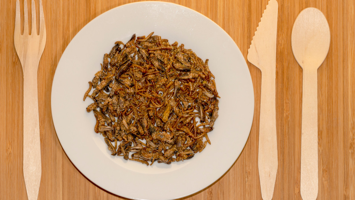 Most lehull a lepel: tényleg hamarosan rovarokat fogunk enni rántotthús helyett?