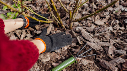 Így turbózzák fel a talajt az élelmes kertészek: ezzel a trükkel sokat spórolhatsz