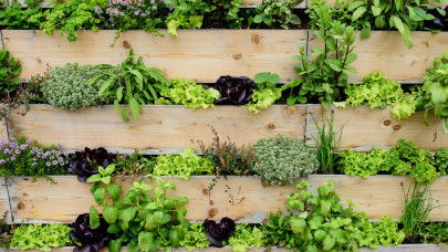 Így lehet kis helyen is rengeteg zöldséged: íme az élelmes kertészek tuti trükkje