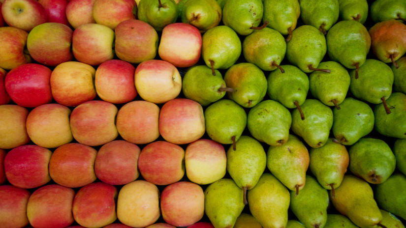 Csökkennek az almakészletek Európában: egyre kevesebb van a népszerű fajtákból
