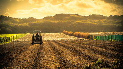 Az afrikai mezőgazdaságba fektetne be Magyarország