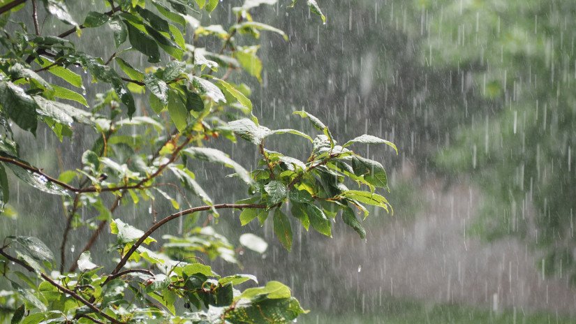 Rengeteg eső jöhet júniusban: mutatjuk, mi várhat a magyarokra