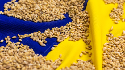 Újabb lépéseket sürgetnek a V4-ek agrárkamarái az ukrán import ügyében
