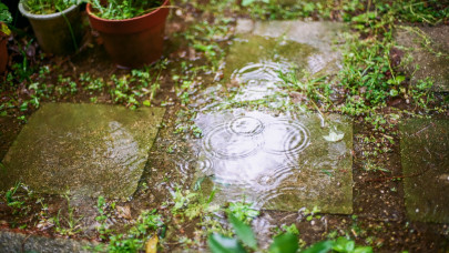 Végzetes hiba a kertben: ezt rontják el a legtöbben esős időben