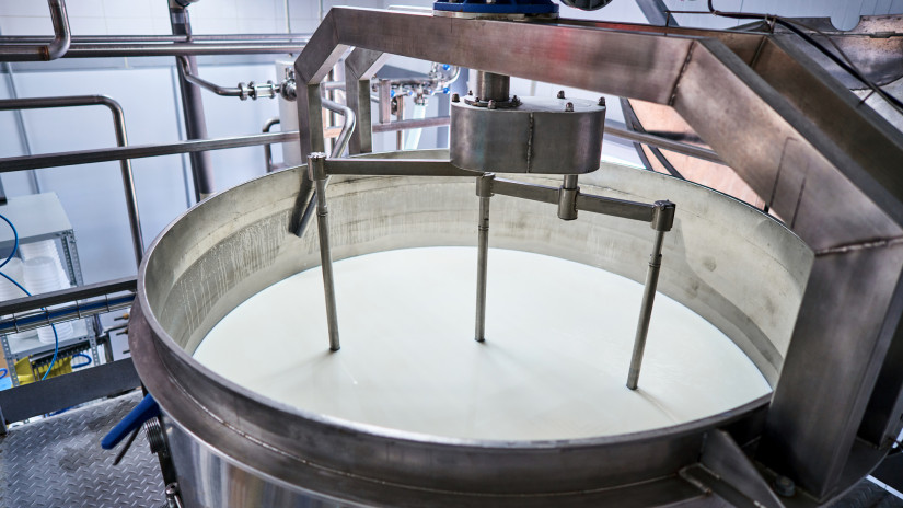 Ezt tervezik a magyar tejipari cégek: meglepő adatok láttak napvilágot