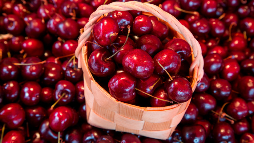 Itt az újabb áremelés: durva, mennyiért árulják a magyar cseresznyét a piacokon