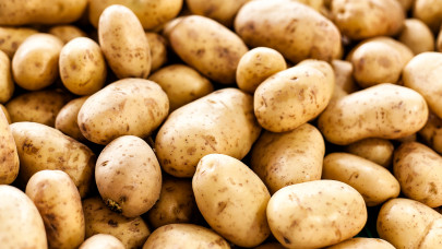 Elképesztő felfedezést tettek a magyar kutatók a krumplival kapcsolatban