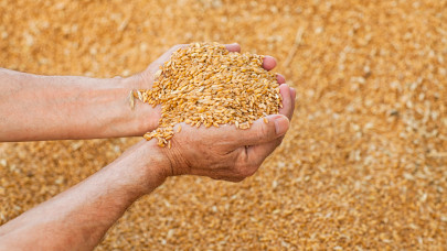 Erre senki sem számított: durva, ami a gabonával történik Oroszországban