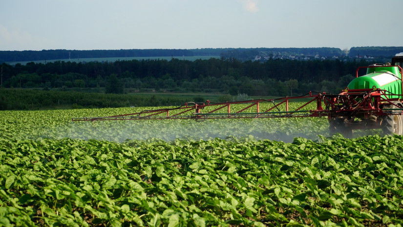 Veszélyben a magyar napraforgó: csak így menthető meg a termés