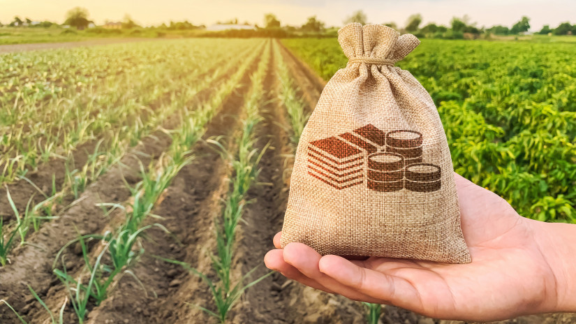 Váratlan fordulat a mezőgazdaságban: durva, ami a felvásárlási árakkal történt