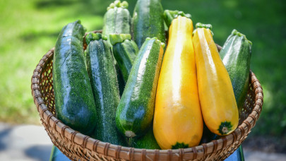Durva, ami ezzel a magyar zöldséggel történik: már alig termesztik itthon