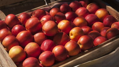 Meglepő hír jött: kiderült, mennyi alma termett idén Magyarországon