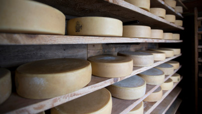 Negyvenkilós sajtkorongok nyomtak agyon egy sajtkészítőt