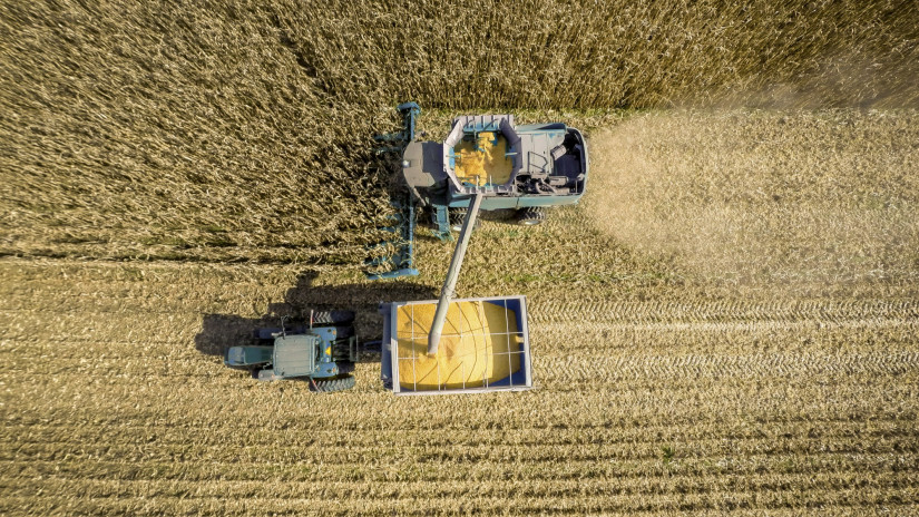 Rekordközeli kukoricatermés jöhet Amerikában