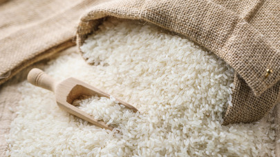 Lesújtó hírek érkeztek a világ rizstermeléséről: erre jobb lesz felkészülni