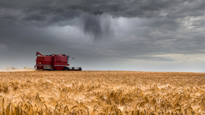 Nagy a baj: jelentősen lemaradtak az aratással az európai gazdák