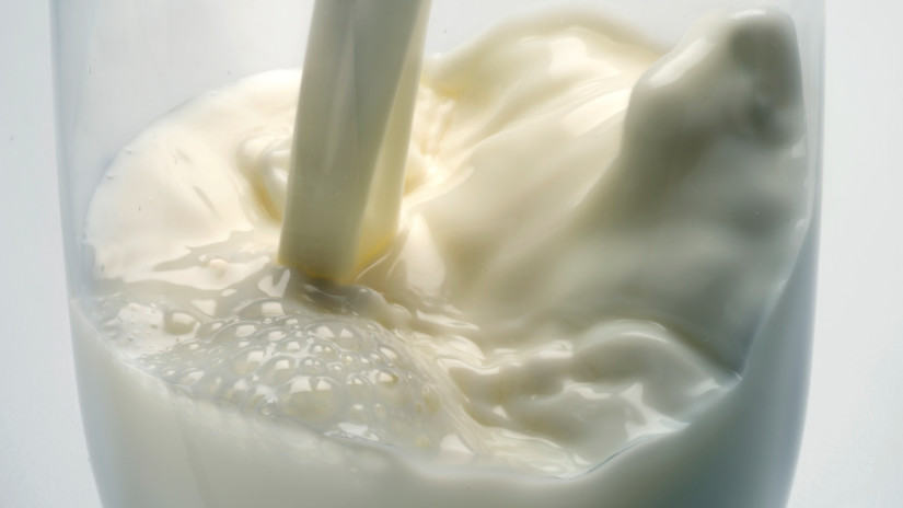 Elképesztő dolog derült ki a tejekről: te gondoltad volna?