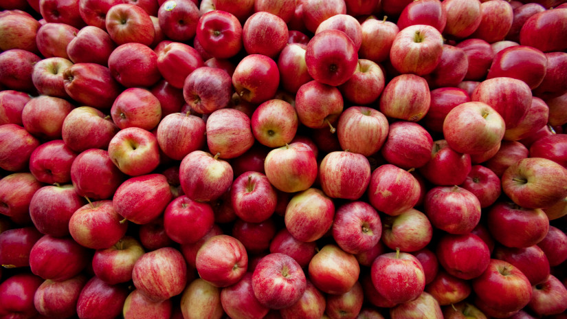 Beindult a Gala alma szezonja Lengyelországban: ennyiért árulják a gyümölcsöt
