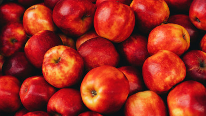 Nem fest jól a helyzet: jóval kevesebb alma lesz idén a lengyeleknél, mint tavaly