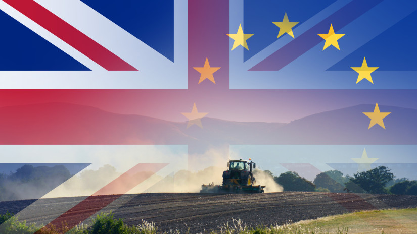 Lesújtó év vár a brit élelmiszeriparra – itt a Brexit újabb hatása