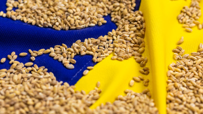 Egyre több gabona áramlik ki Ukrajnából: itt megy át a termény java