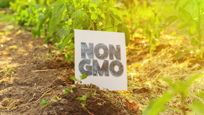 A kormány elkötelezett a GMO-mentesség mellett