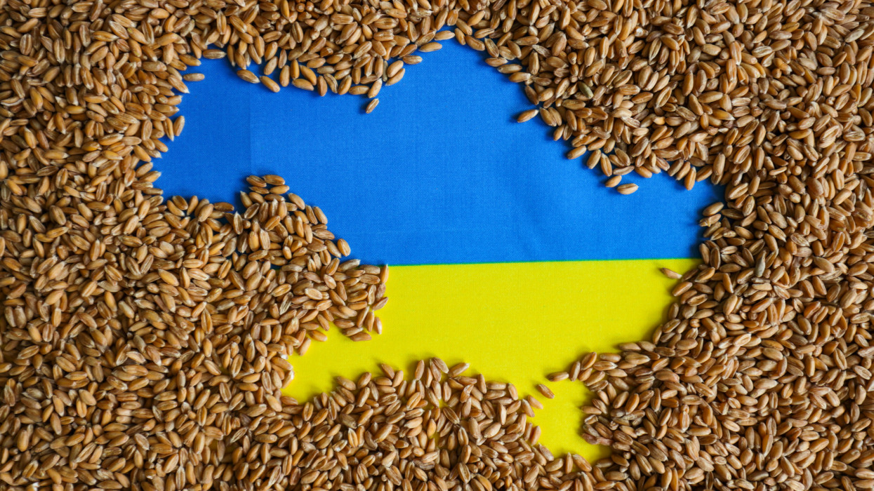 Nagy István több tagállammal egyeztet az ukrán gabona ügyében